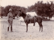 Horses and Horseflesh Losses in the Boer War